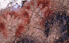 click gargas.gif (4691 bytes)