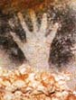 click merle3.JPG (7895 bytes)