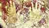 click 3mainborneo.jpg (8103 bytes)